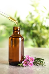 Dripping natural essential oil into bottle near tea tree branch on table