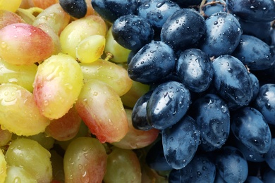 Photo of Fresh ripe juicy grapes with water drops as background, closeup