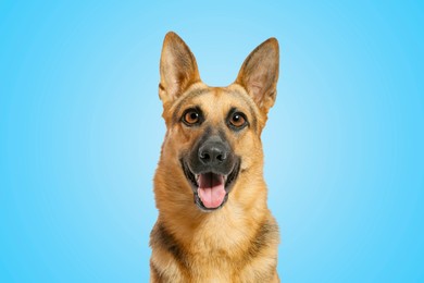 Image of Cute surprised German Shepherd dog with big eyes and open mouth on light blue background
