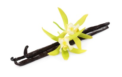 Photo of Vanilla pods and beautiful flowers isolated on white