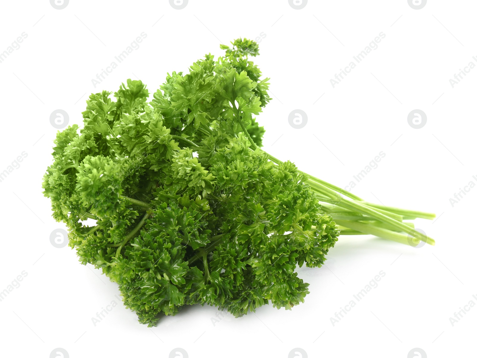 Photo of Fresh green curly parsley on white background