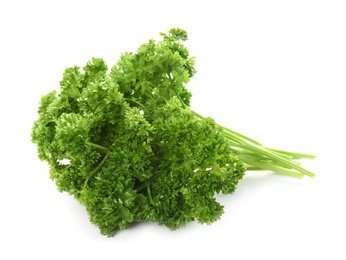 Photo of Fresh green curly parsley on white background