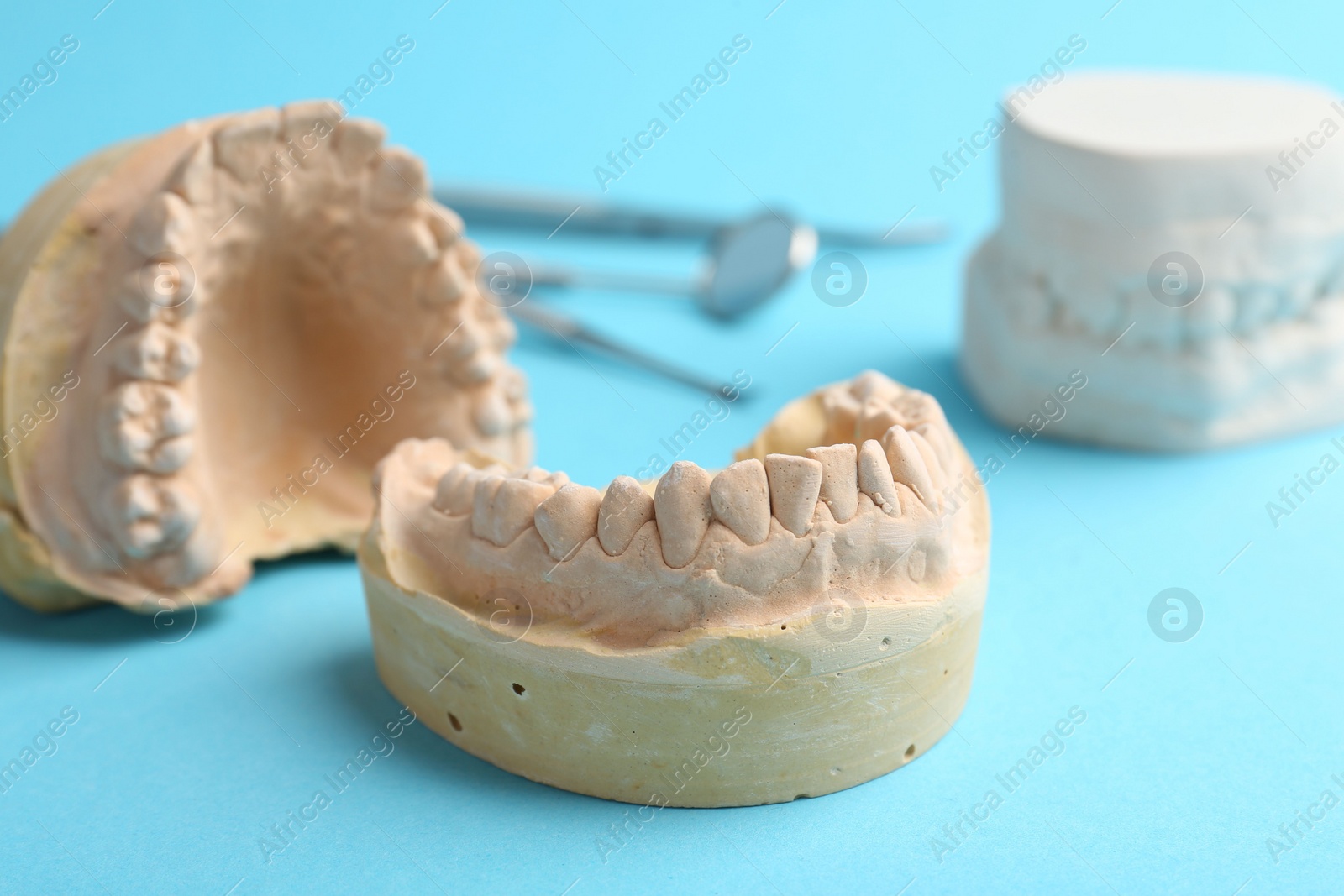 Photo of Dental models with gums and dentist tools on light blue background. Cast of teeth