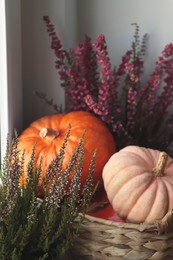 Wicker basket with beautiful heather flowers and pumpkins near grey wall, closeup