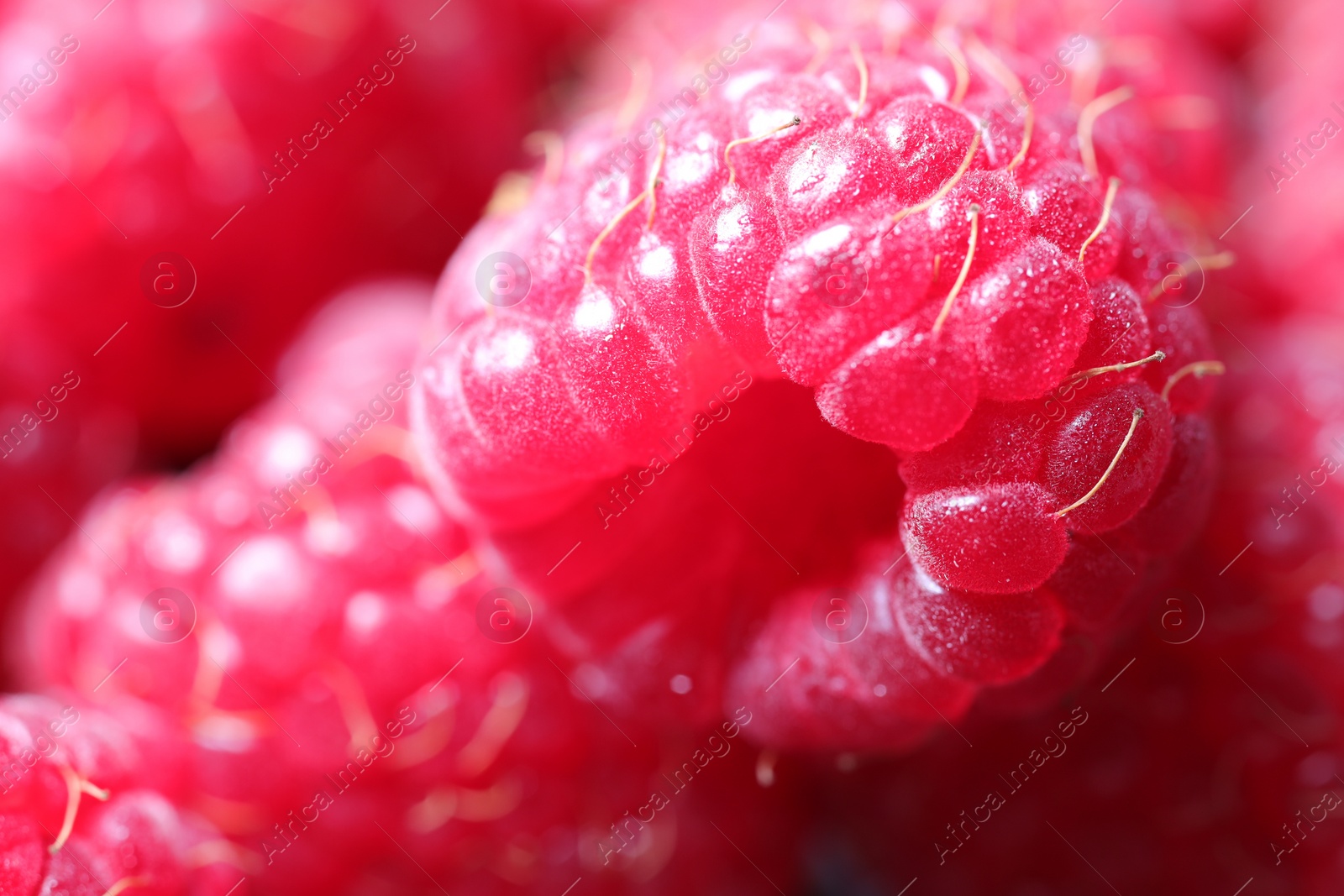 Photo of Tasty fresh ripe raspberries as background, macro view