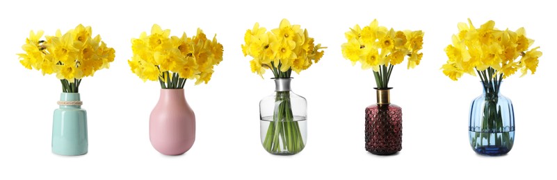 Image of Set with beautiful yellow daffodils in vases on white background. Banner design