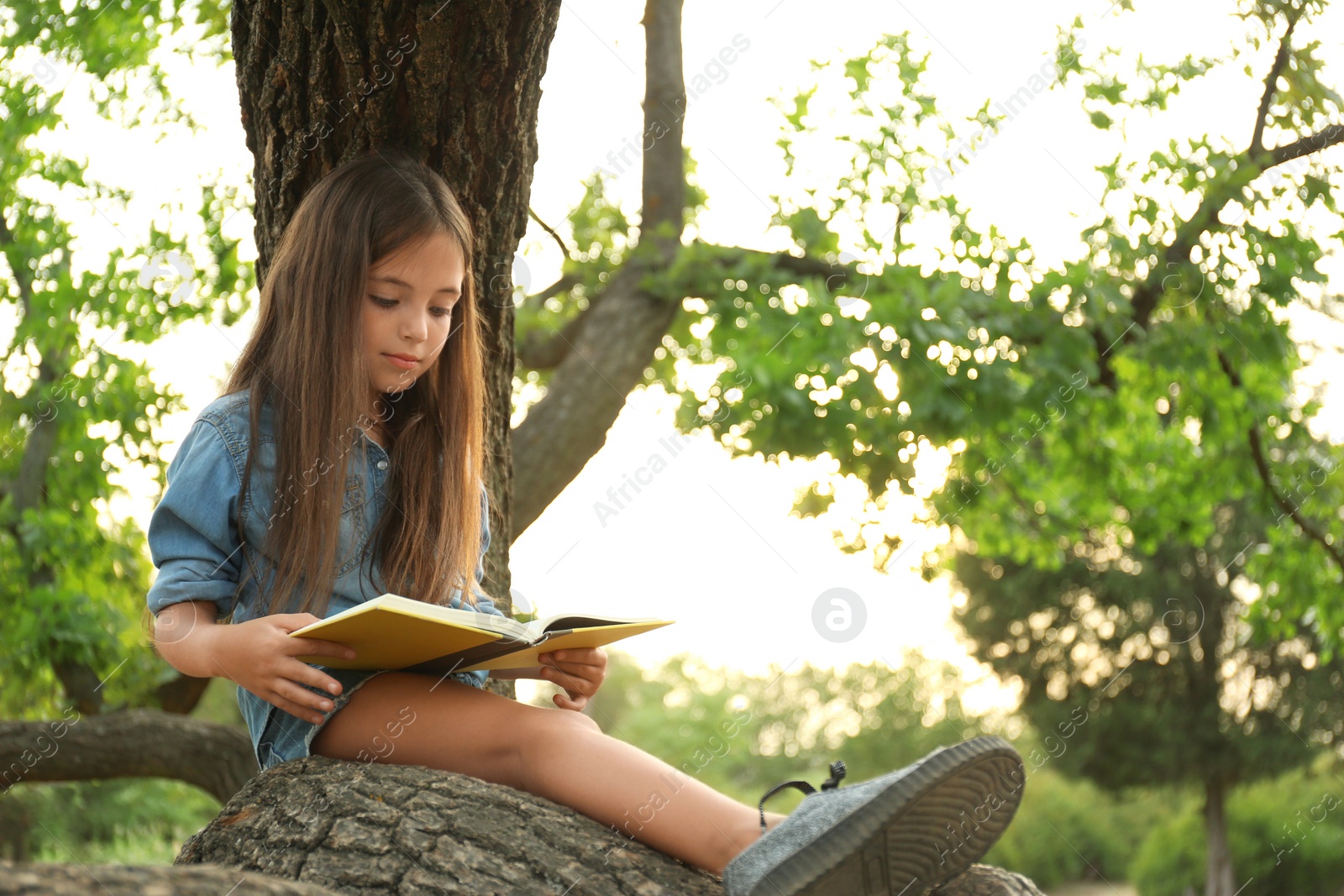 Photo of Cute little girl reading book on tree in park