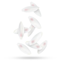 Image of Lotus flower petals falling on white background