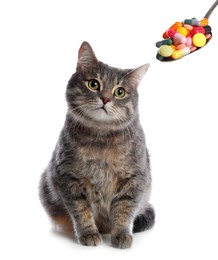 Vitamins for pets. Cute cat and spoon with different pills on white background