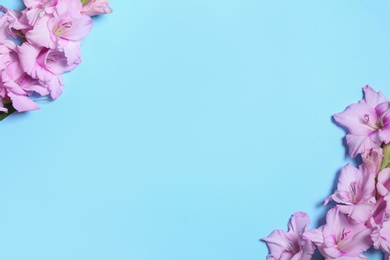 Photo of Flat lay composition with beautiful gladiolus flowers on blue background. Space for text