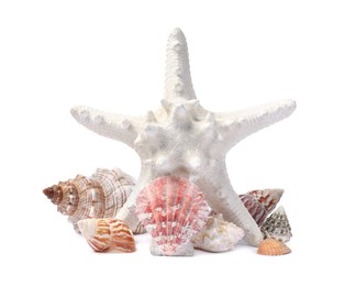 Photo of Beautiful sea star and seashells on white background