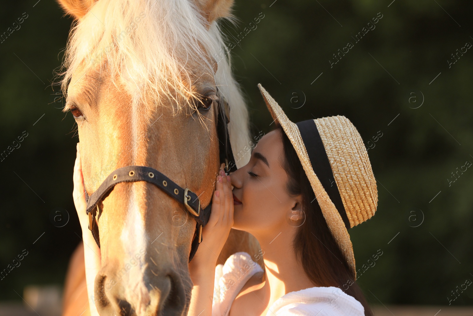 Photo of Woman with adorable horse outdoors. Lovely domesticated pet