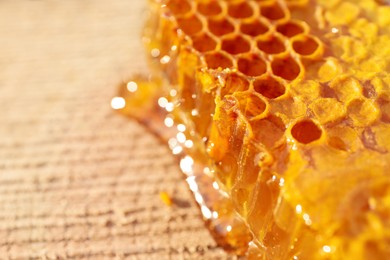 Photo of Piece of fresh honeycomb on wood stump, closeup