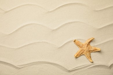 Beautiful sea star on sand, top view. Space for text