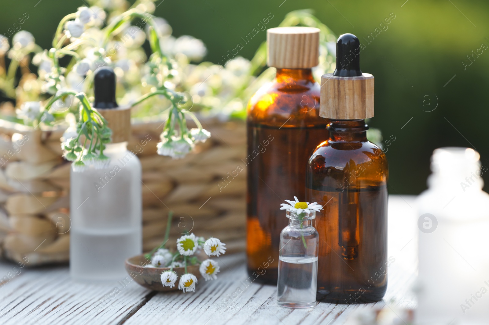 Photo of Bottles of chamomile essential oil and flowers on white wooden table, closeup