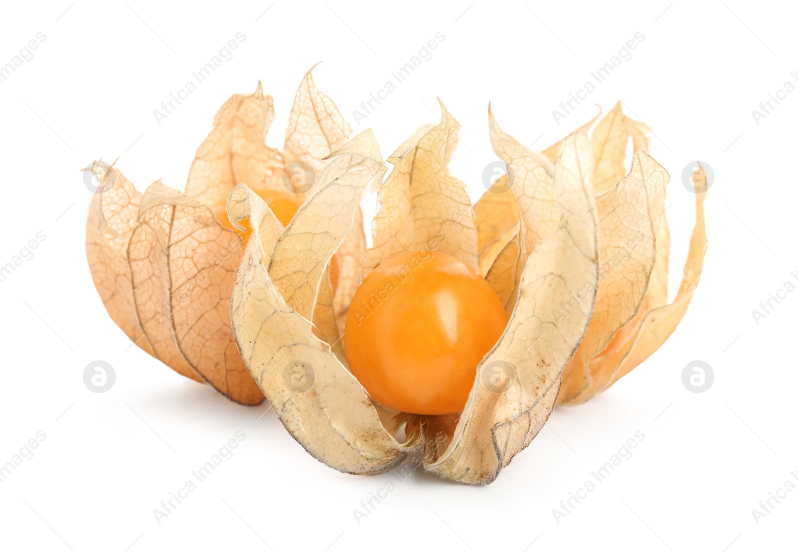 Photo of Ripe physalis fruits with dry husk on white background