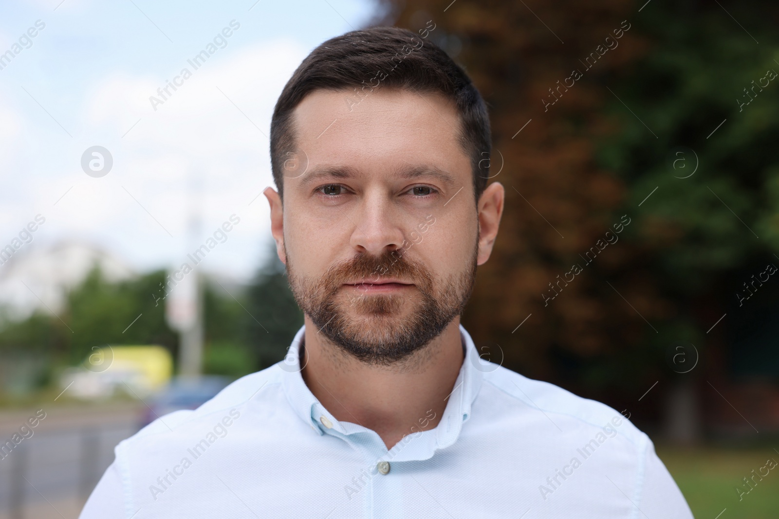 Photo of Portrait of handsome man looking at camera outdoors
