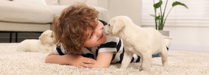 Little boy with cute puppies on beige carpet at home. Banner design