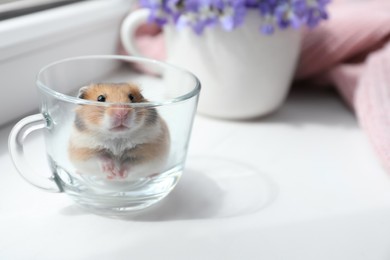 Photo of Adorable hamster in glass cup on window sill indoors. Space for text