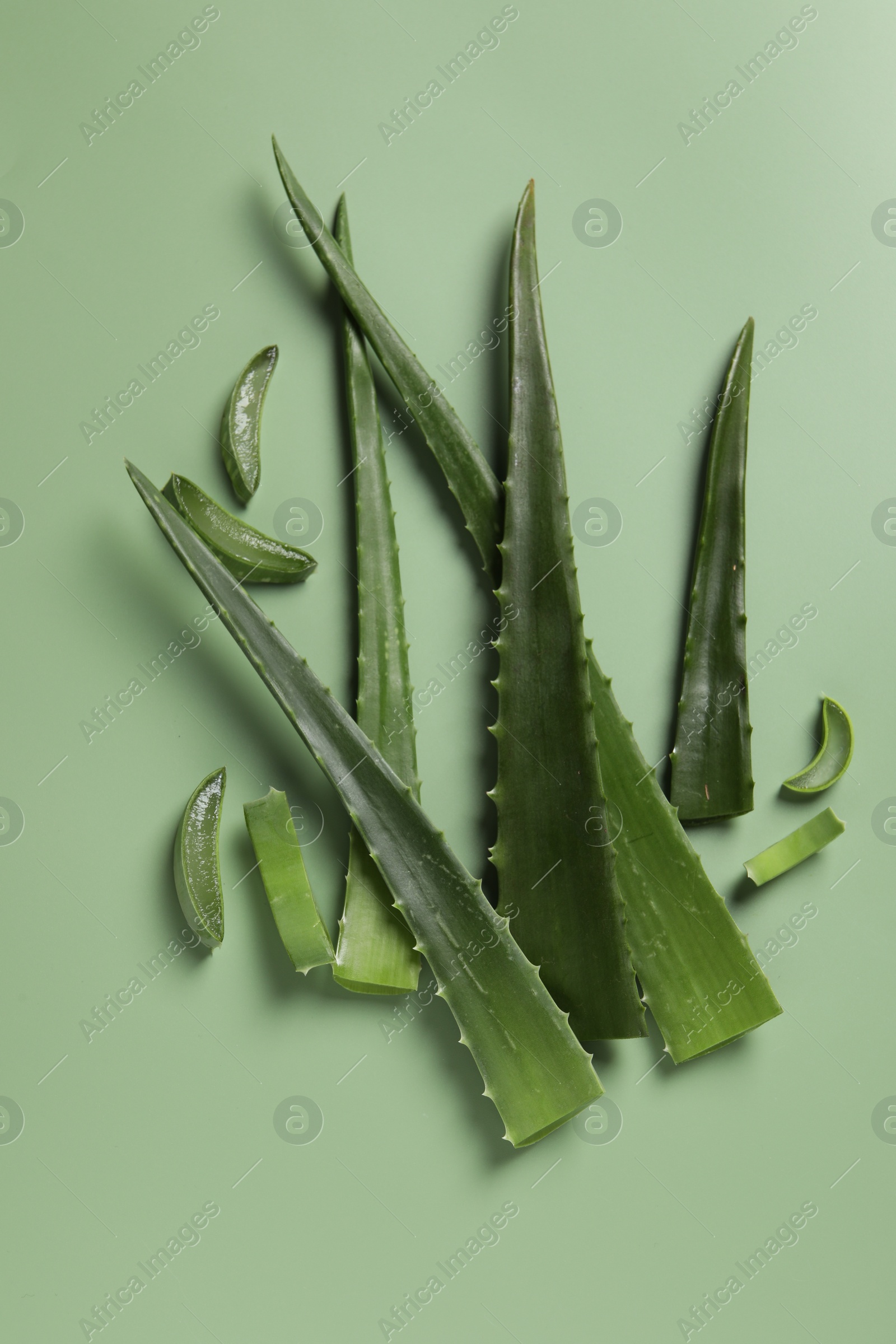 Photo of Cut aloe vera leaves on light green background, flat lay