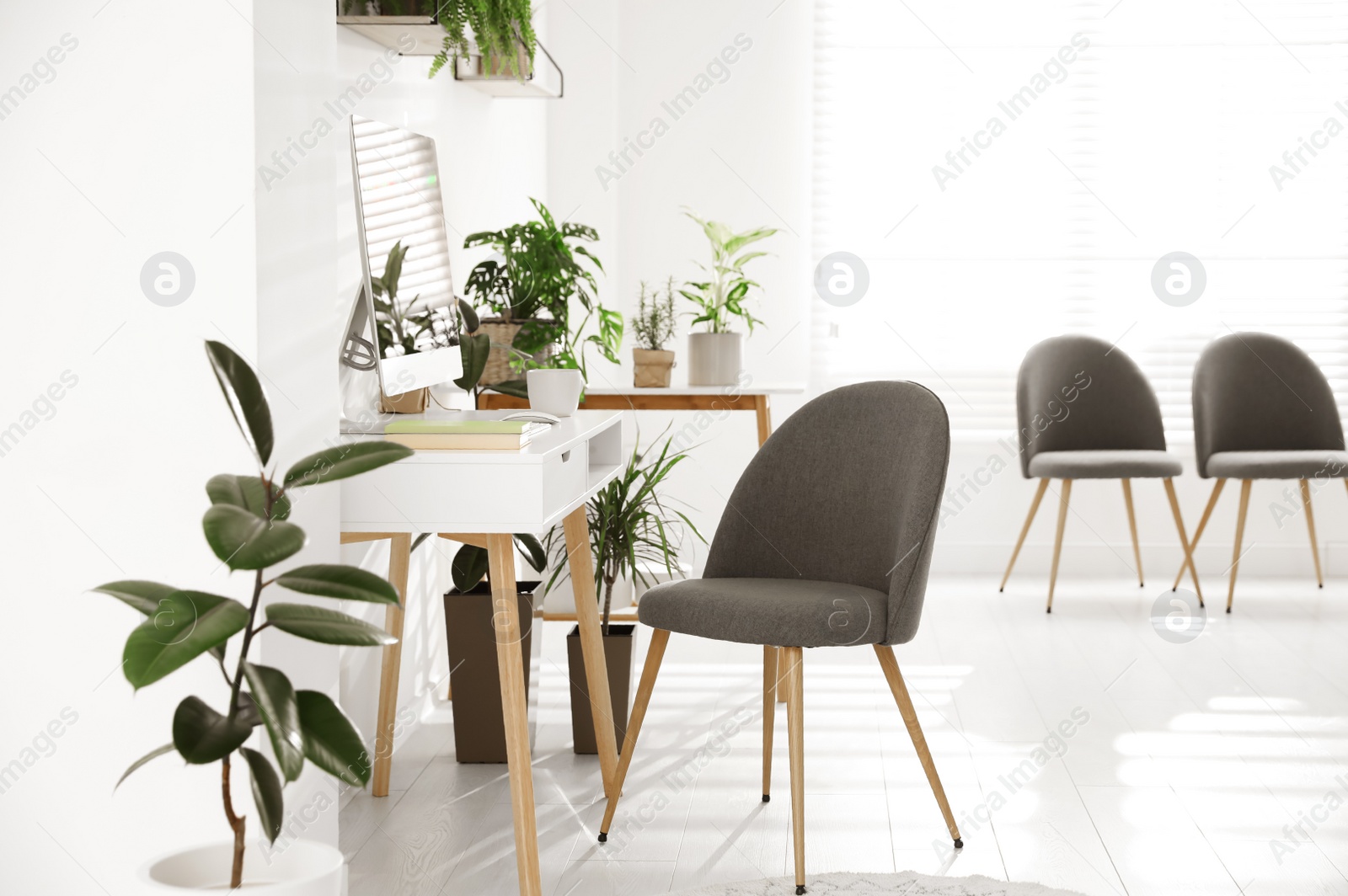 Photo of Modern workplace in room decorated with green potted plants. Home design