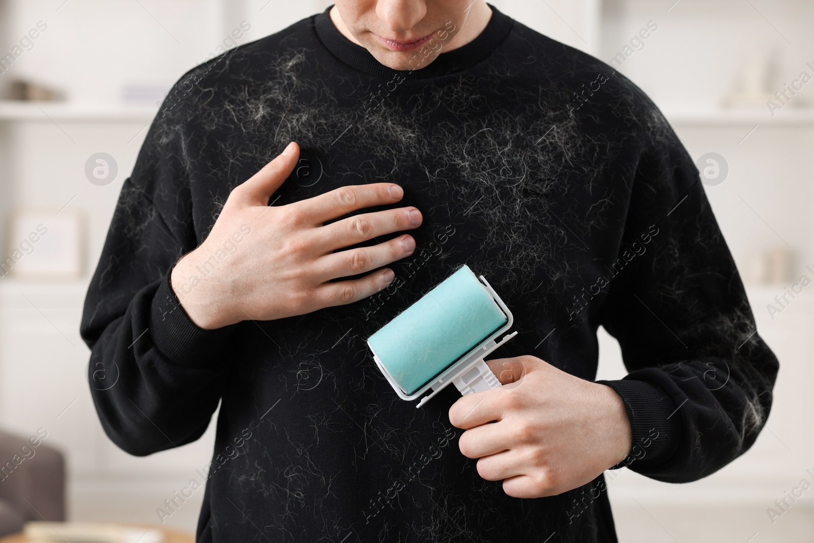 Photo of Pet shedding. Man with lint roller removing dog's hair from sweater at home, closeup