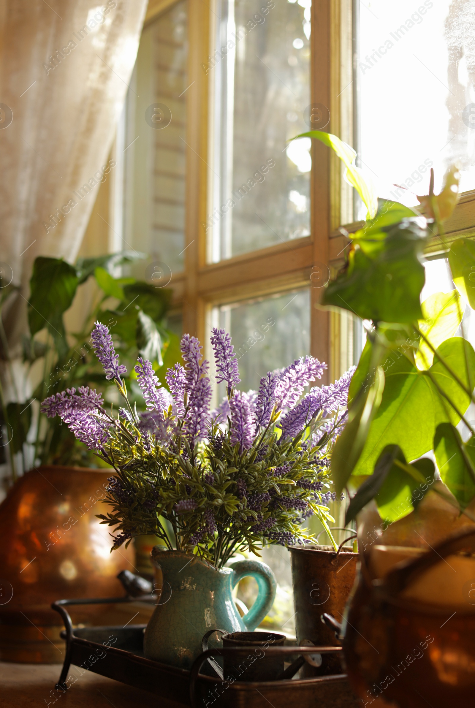 Photo of Beautiful view of sunlit houseplants on window sill