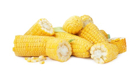 Photo of Many fresh corncobs with grains on white background