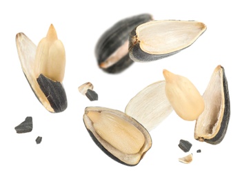 Sunflower seeds with hull flying on white background 