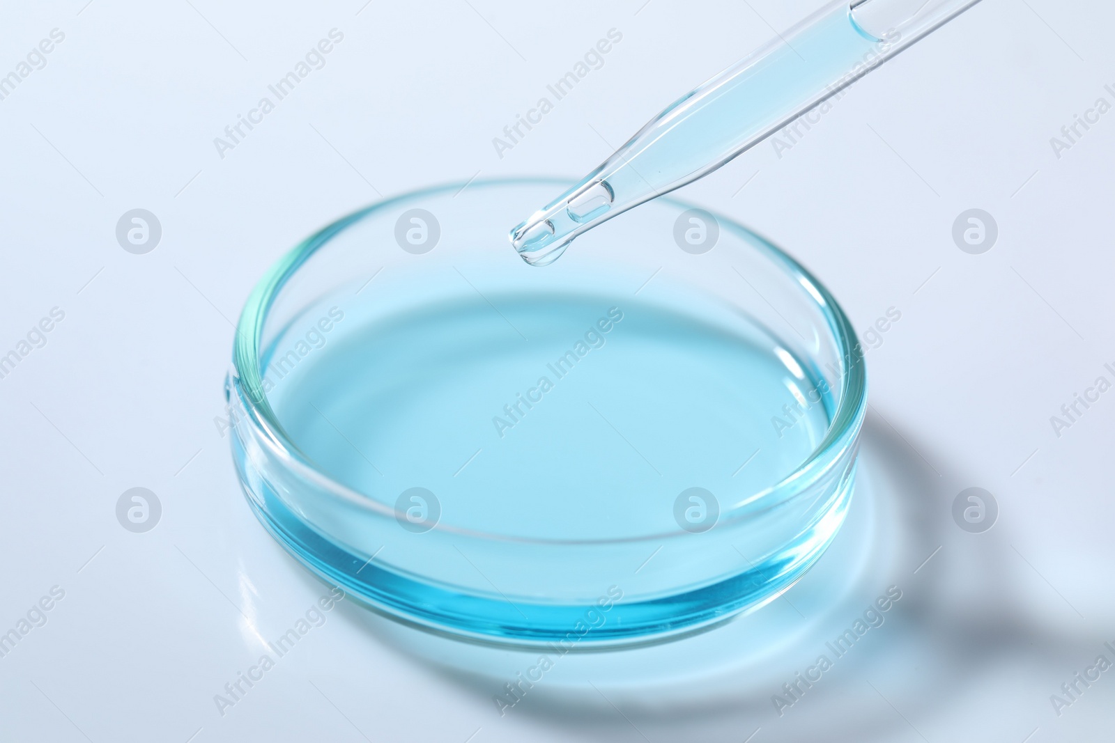 Photo of Dripping liquid from pipette into petri dish at white table, closeup