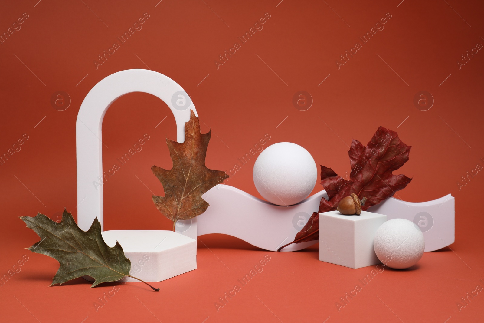 Photo of Autumn presentation for product. Geometric figures, acorn and dry leaves on terracotta background