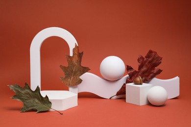 Photo of Autumn presentation for product. Geometric figures, acorn and dry leaves on terracotta background