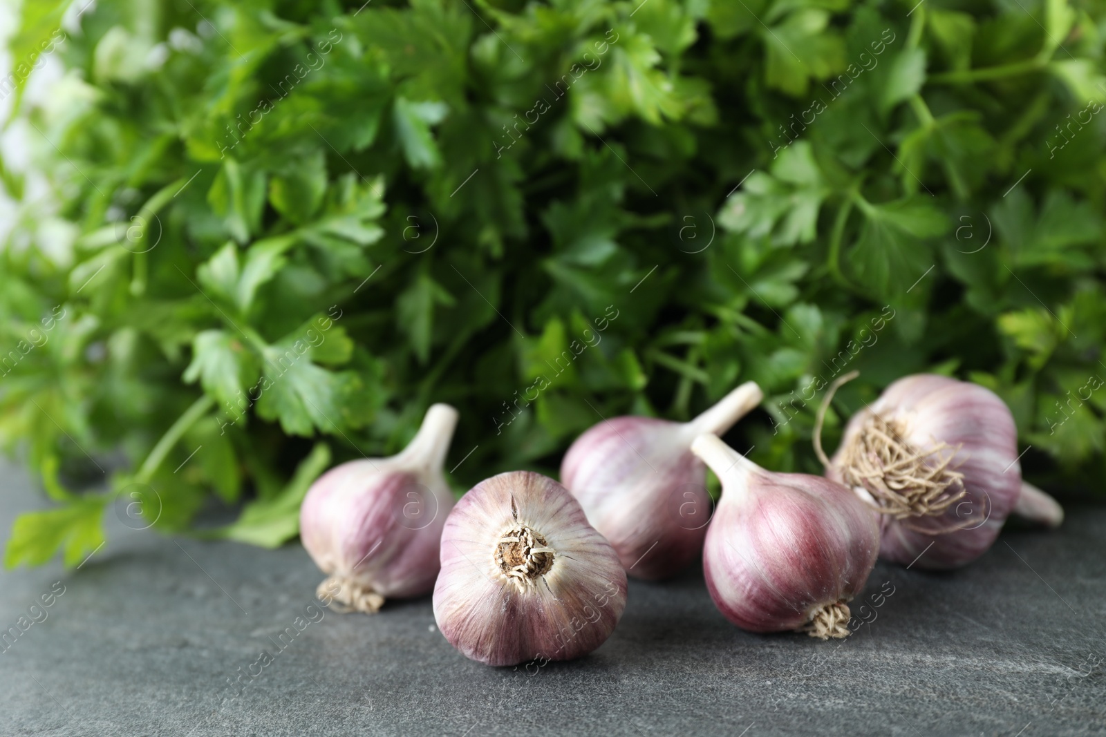 Photo of Fresh raw garlic and parsley on grey table, closeup