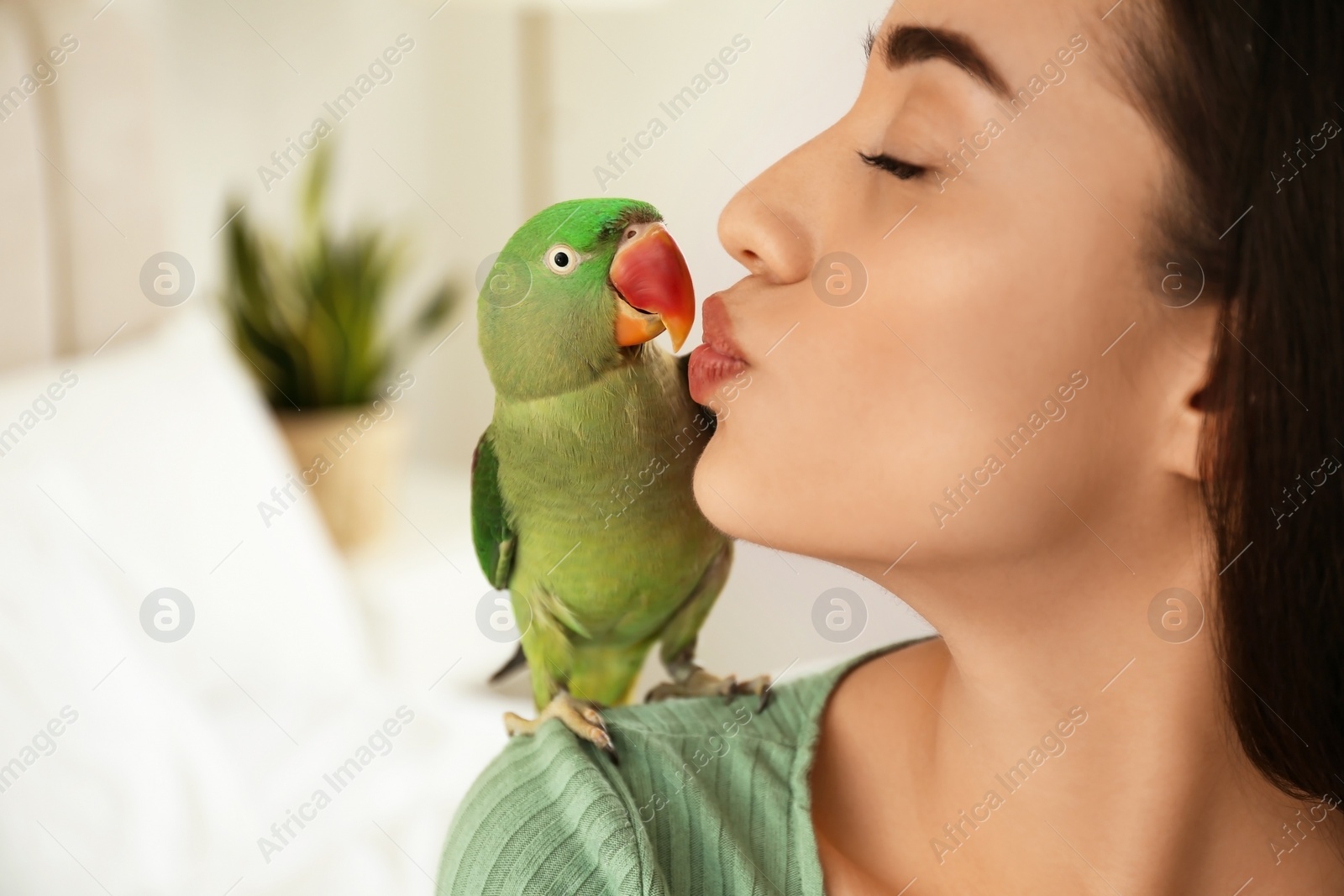 Photo of Young woman with Alexandrine parakeet indoors, closeup. Cute pet