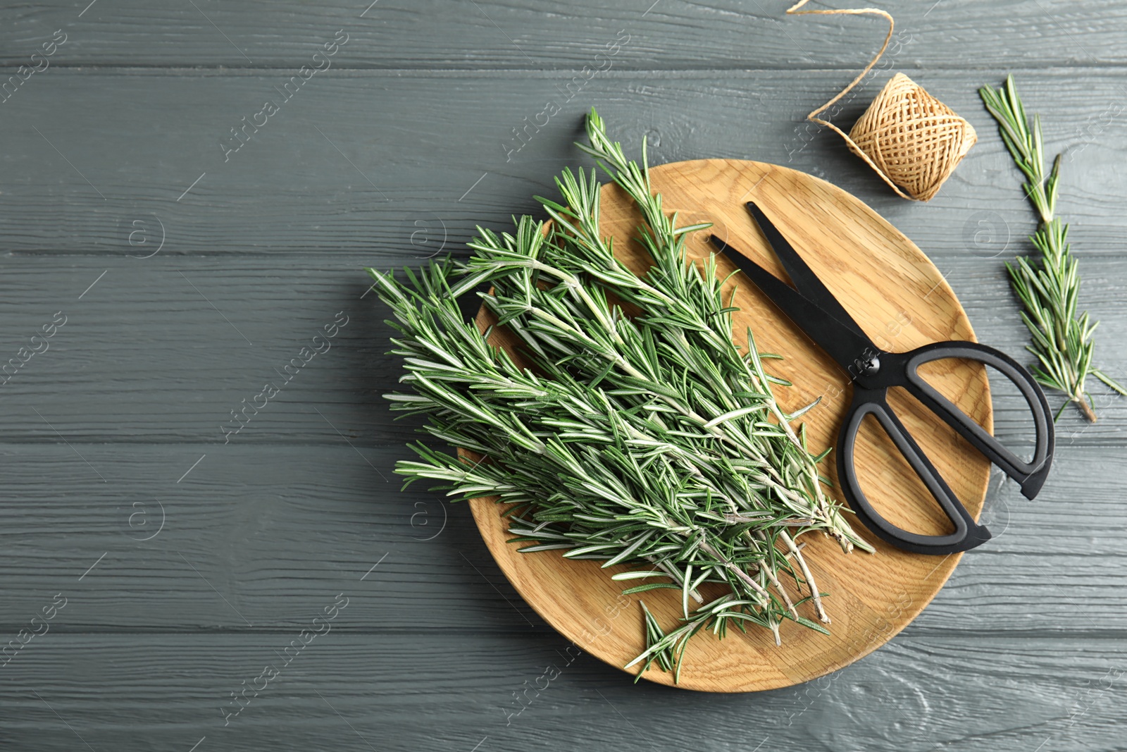 Photo of Flat lay composition with fresh rosemary twigs and scissors on wooden background. Space for text