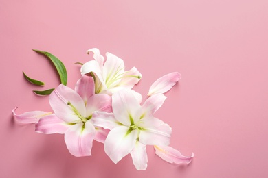 Photo of Flat lay composition with beautiful blooming lily flowers on color background