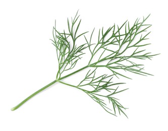 Photo of Sprig of fresh dill isolated on white, top view