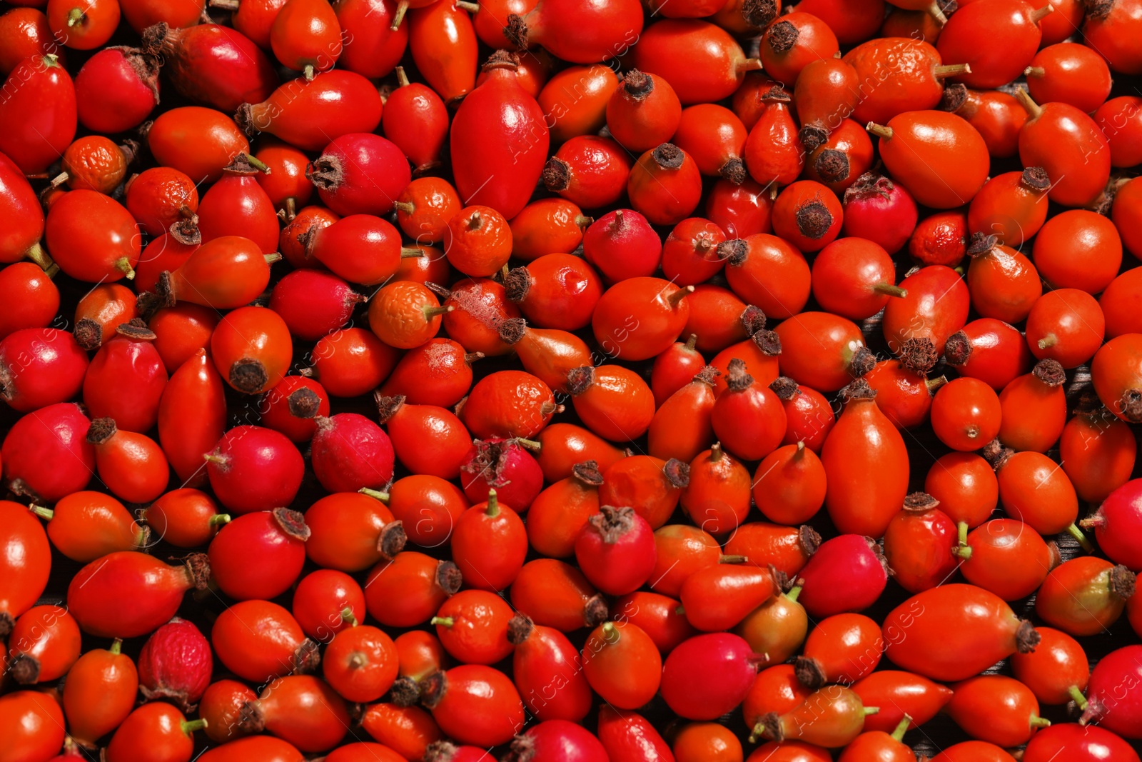 Photo of Ripe rose hip berries as background, top view