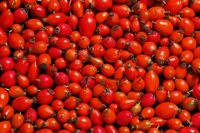 Photo of Ripe rose hip berries as background, top view