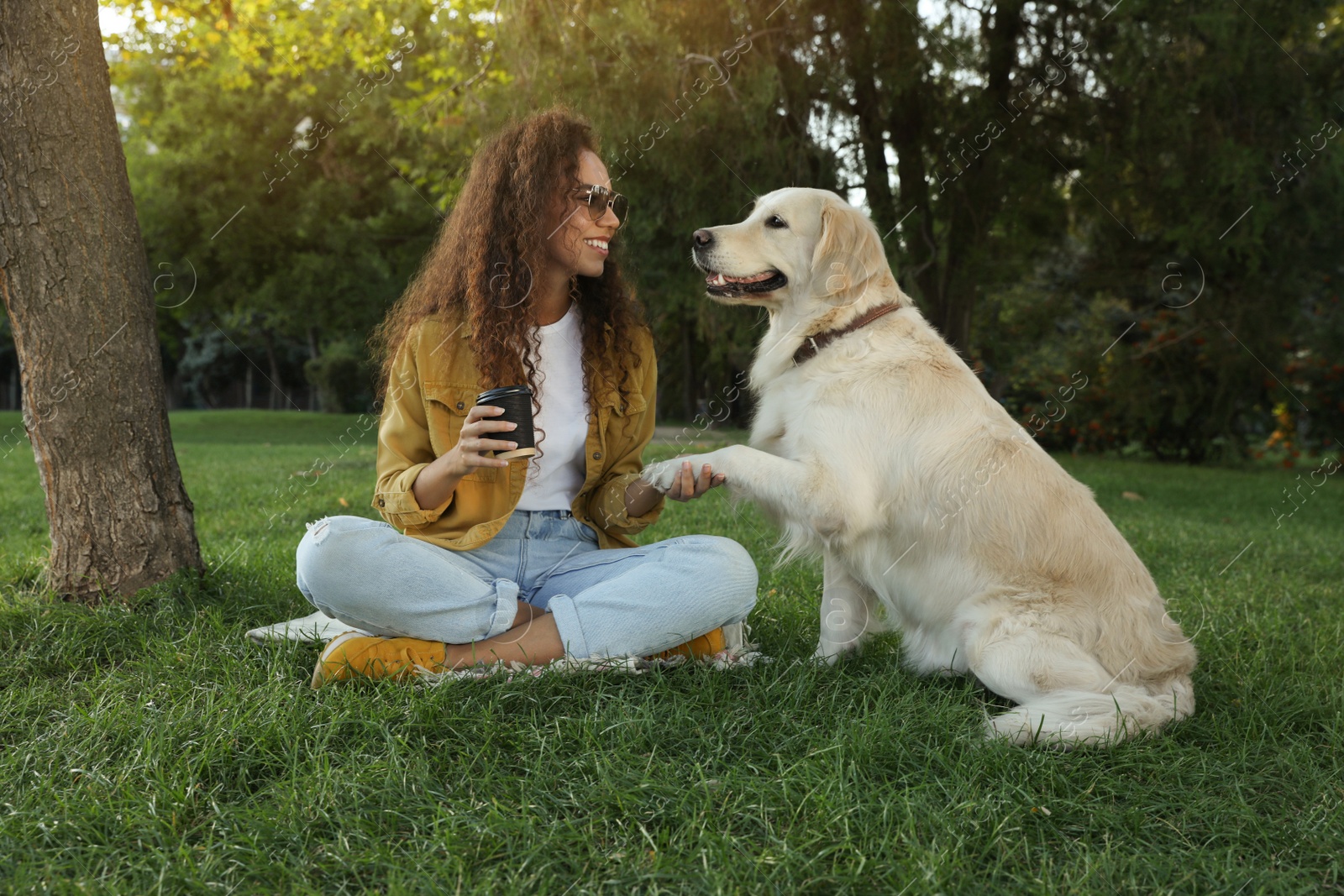 Photo of Young African-American woman and her Golden Retriever dog on green grass in park