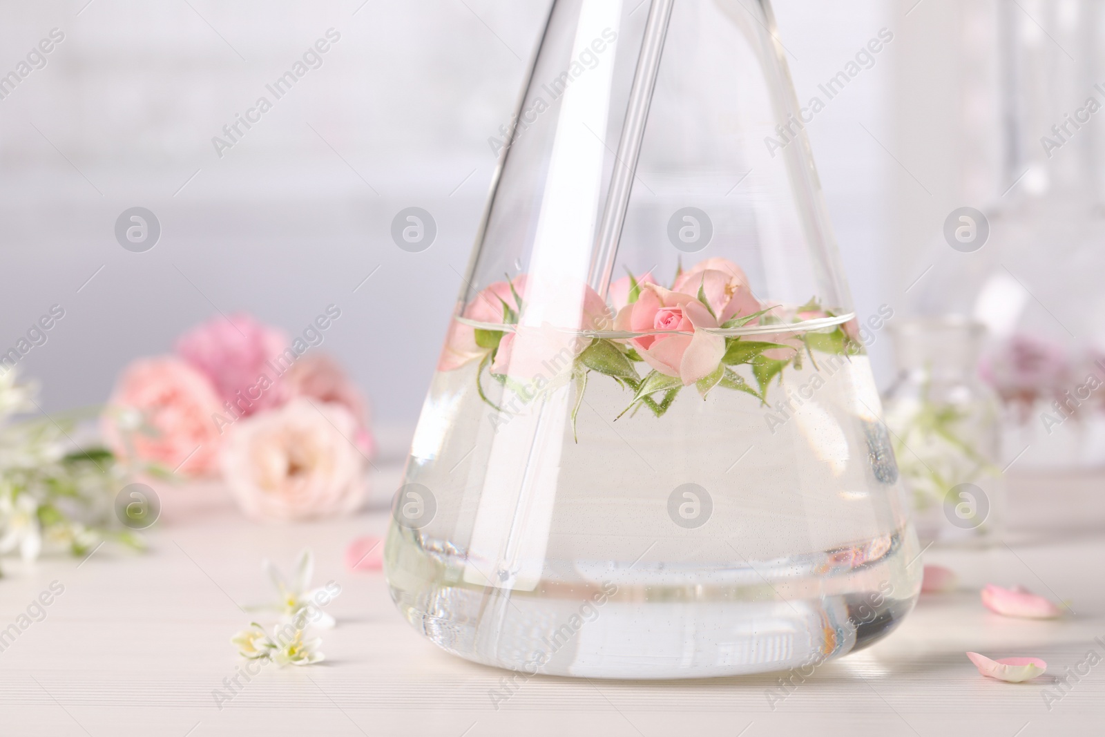 Photo of Flask with rose flowers on white wooden table, closeup. Essential oil extraction