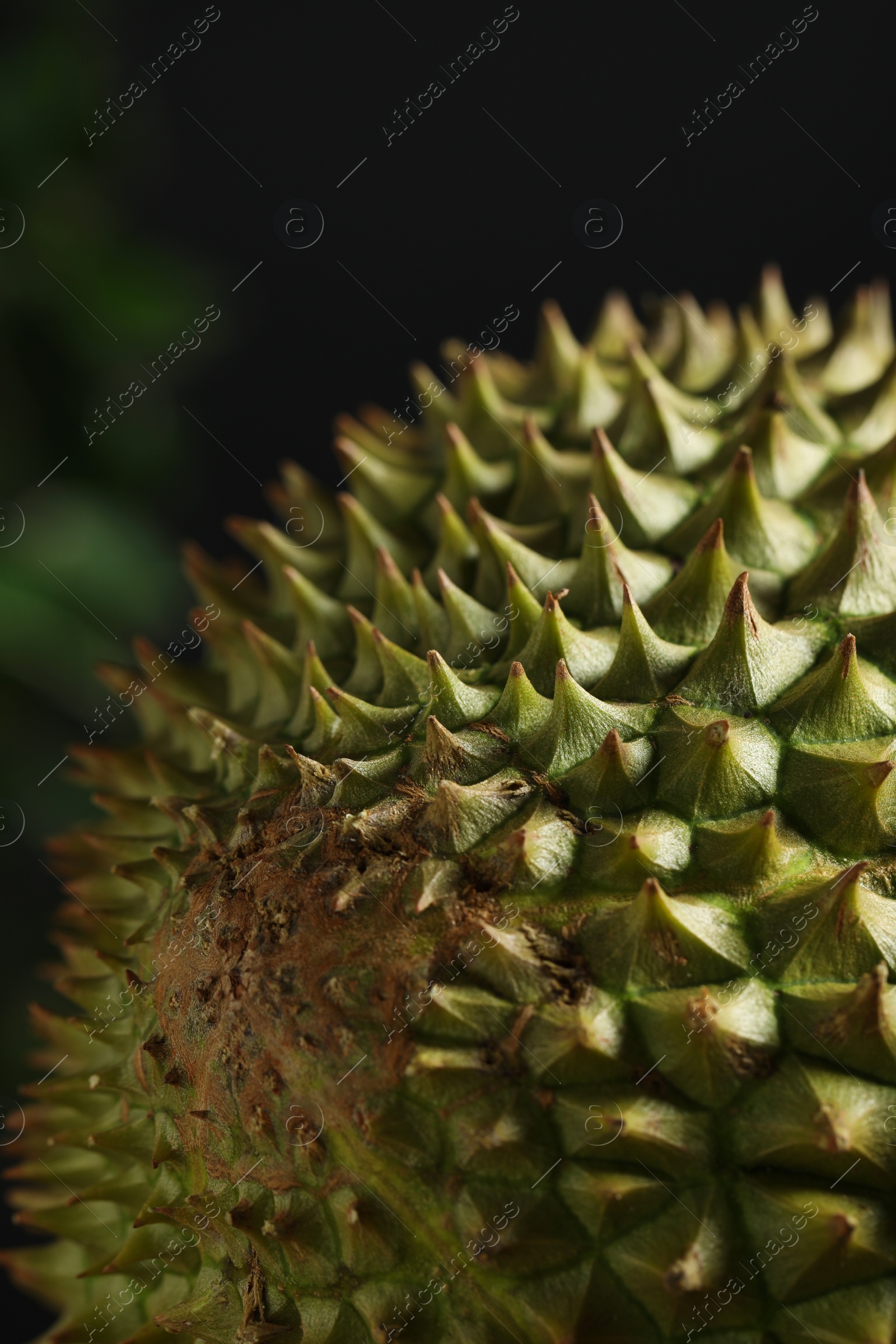 Photo of Closeup view of ripe durian on blurred background