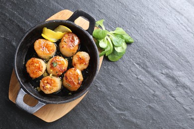 Photo of Delicious fried scallops and corn salad on dark gray textured table, top view. Space for text