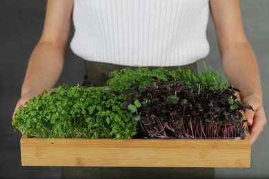 Woman with wooden crate of different fresh microgreens on grey background, closeup