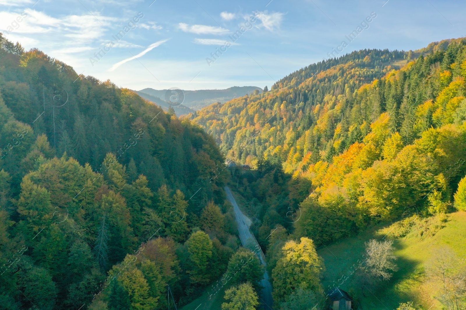 Photo of Aerial view of beautiful mountain forest with road on autumn day