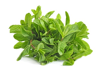 Fresh green mint leaves on white background