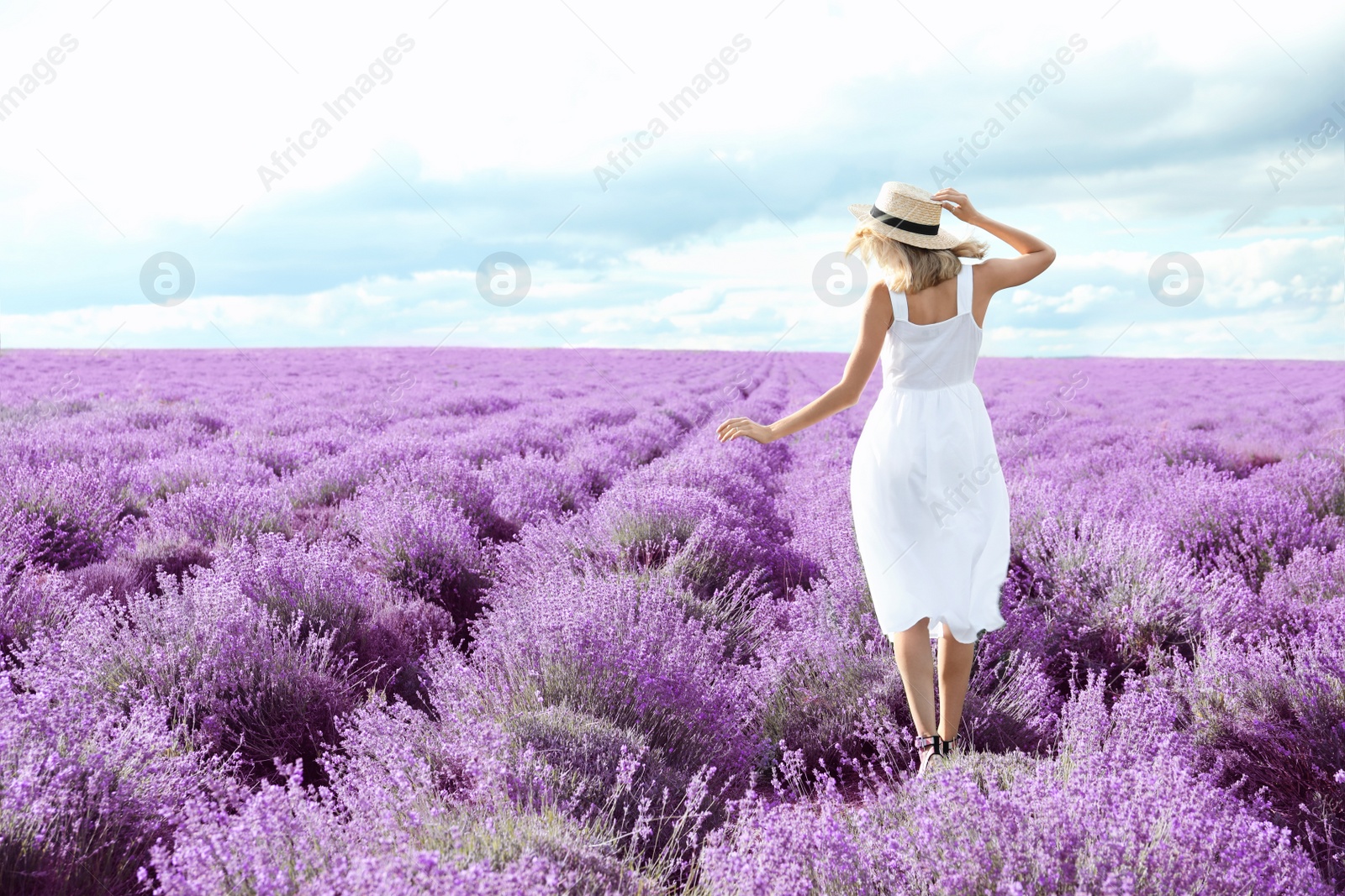 Photo of Young woman in lavender field on summer day