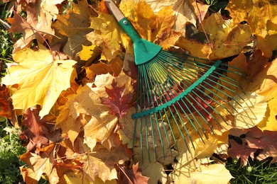 Rake and fall leaves on grass outdoors, top view