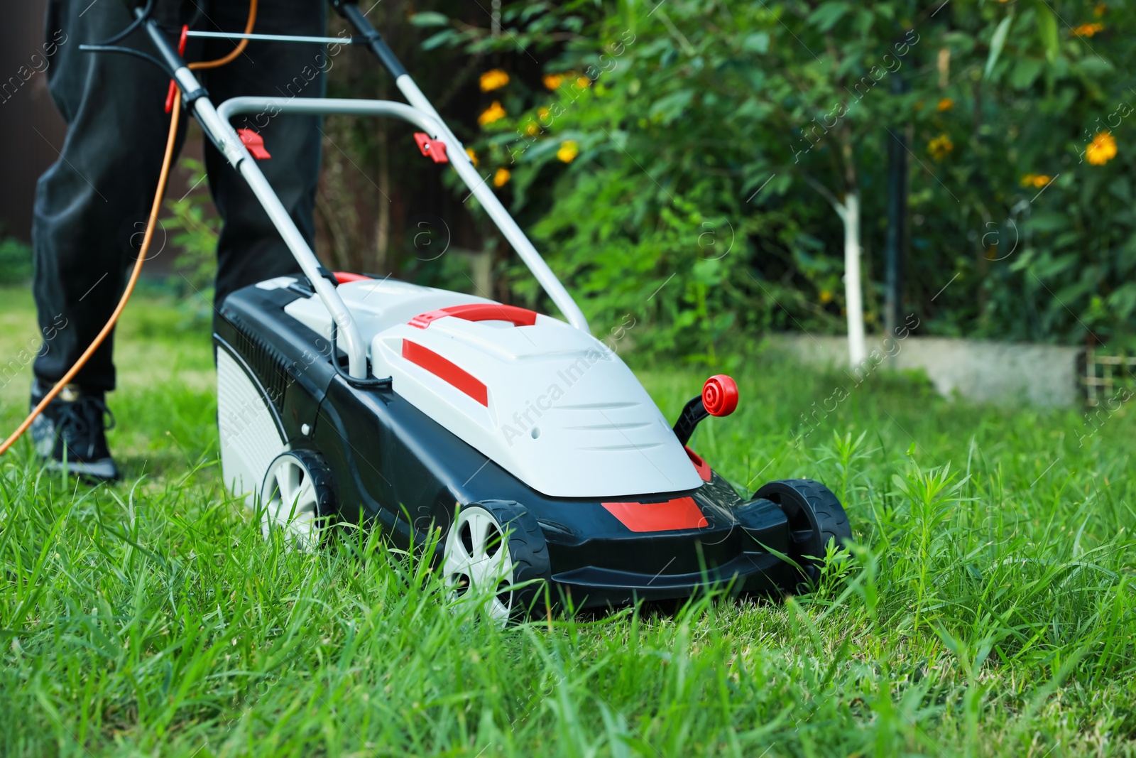 Photo of Man cutting grass with lawn mower in garden, closeup