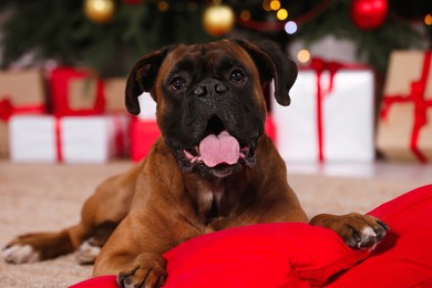 Cute dog on pillows in room decorated for Christmas
